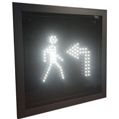 Информационная световая секция транспортного светофора ИС.л(п)-300-П